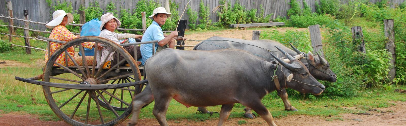 Stung Treng Travel Guide | Asianventure Tours