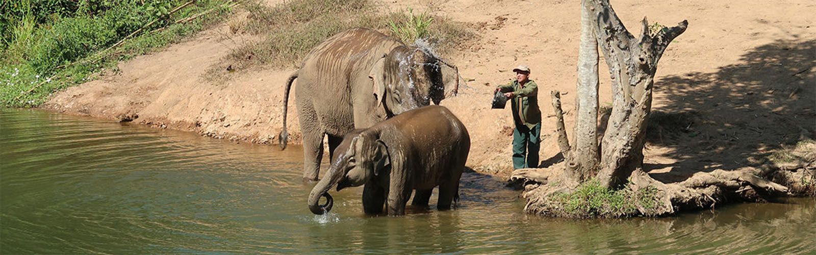 Exciting Elephant Ride In Luang Prabang | best place | Asianventure Tours