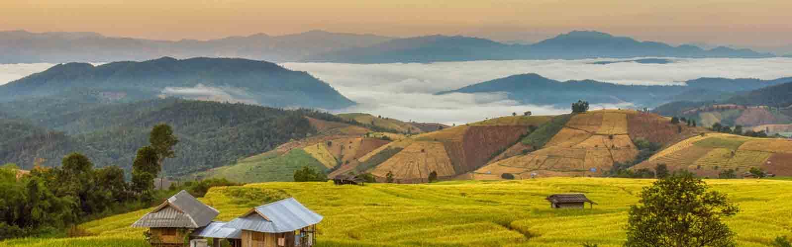 Chiang Mai