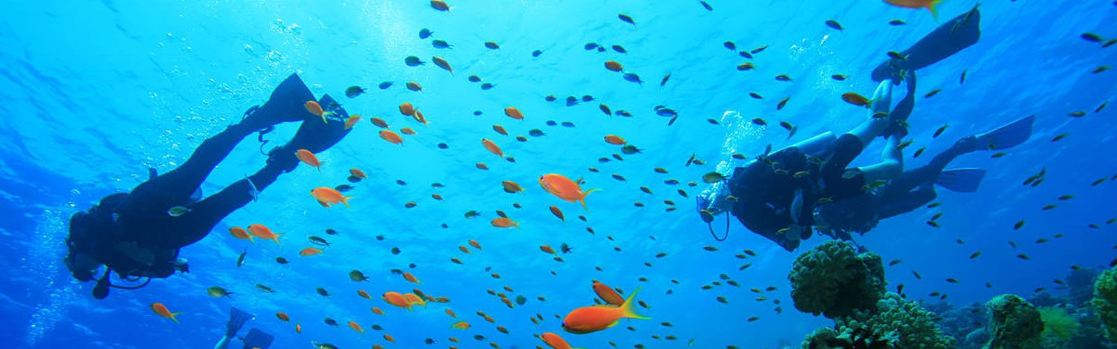 Vietnam Scuba Diving Trips