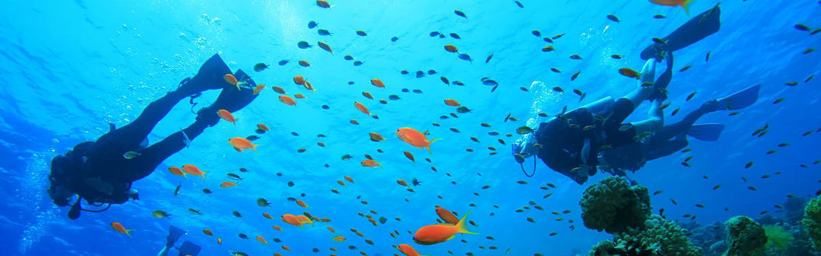  Scuba Diving Trips