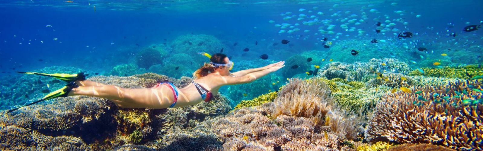  Snorkeling Tours