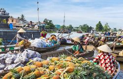 Best Boat Excursions In Mekong Delta