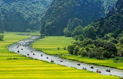 Best Things To Do In Vietnam