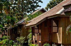 Stay In Lush At  Eco Lodge In Laos