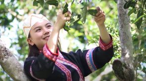 Phongsaly