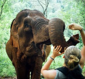 Mondulkiri