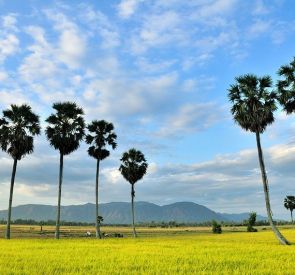 Chau Doc