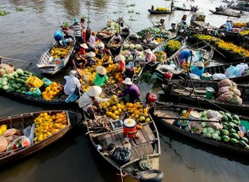 Mekong Delta Explorer