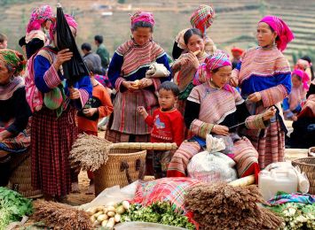 Scene Of Northern Vietnam