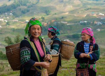 Roof Of Vietnam