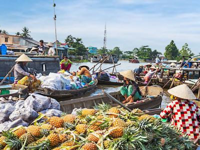 Best Boat Excursions In Mekong Delta