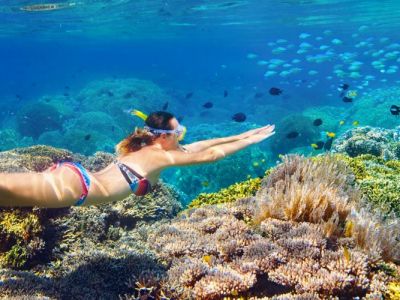 Snorkeling Tours