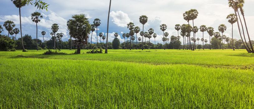 Battambang Holidays