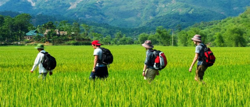 Hoa Binh Tours