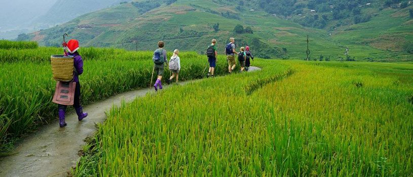 Sapa Tours